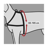 Lead 'n' Walk Soft Harness