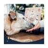 Cupid & Comet Christmas - Luxury Meaty - Advent Calendar for Dogs