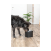 Aqua Pure Drinking Fountain - with Stainless Steel Drinking Bowl - Black