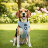 Alice & Co - Harness - Teddy - Blue