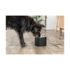 Aqua Pure Drinking Fountain - with Stainless Steel Drinking Bowl - Black