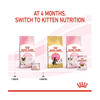 Royal Canin Mother & Baby Cat - Ultra Soft Mousse