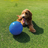 Boomer Ball - Tough Dog Ball
