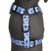 Alice & Co - Harness - Busy Bee
