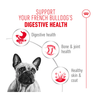 Royal Canin Dog Pouch - French Bulldog