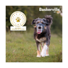 Baskerville INVISA Muzzle - Transparent
