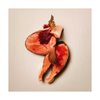Carnilove - Salmon & Turkey - Adult - Active
