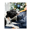Christmas Dog Treat - Turkey Wrapped Carrot Twist Jumbo