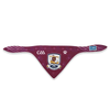 GAA Official Pet Bandana - Galway