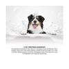 Groom Professional 2 in 1 Protein Shampoo NEW