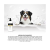 Groom Professional Argan Oil Shampoo NEW
