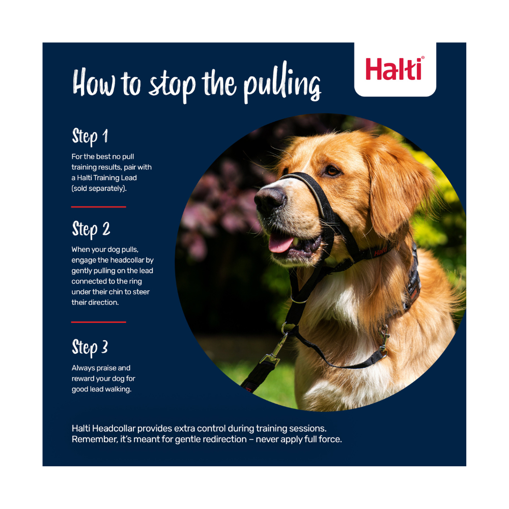 HALTI Nylon Padded No Pull Dog Headcollar, Red, Size 3