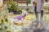 Trixie Pontis - Harness Coat - Pink