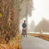 Foldable Bicycle Trailer for Dogs - Red