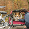 Foldable Bicycle Trailer for Dogs - Red