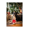 Christmas Dog Plush Toy - Buddy Bear