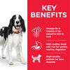 Hill's Science Plan - Adult Medium Dog - Lamb