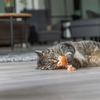 Catnip Cat Toy -  Plush Dragon