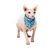 Fuzzyard Cat Fashion Pack - Fish