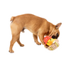Fuzzyard Plush Dog Toy - Firequacker Duck