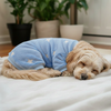 Dog Pyjamas - Blue Fleece