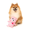 Fuzzyard Plush Dog Toy - Nothin' Butt Love Bear