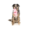 Fuzzyard Plush Dog Toy - Nothin' Butt Love Bear