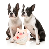 Fuzzyard Plush Dog Toy - Cu-pig