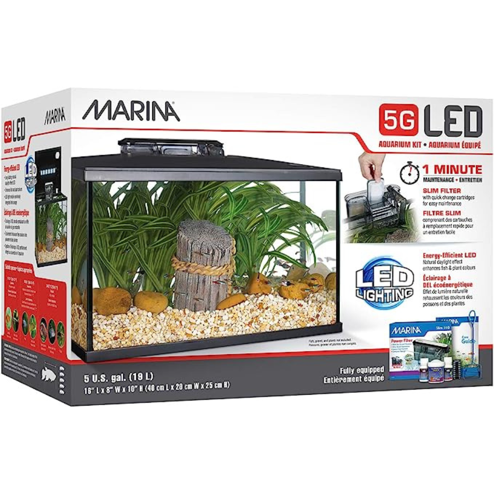 Led Aquarium Kit 38 Gallon Aquarium Hood Aqueon Aquarium Starter