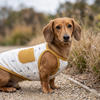 Wiggle & Wander - Dog Vest - Mustard