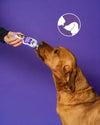 Frozzys Happy Gut - Yogurt Squeeze for Dogs - Natural