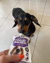 Frozzys Happy Gut - Yogurt Squeeze for Dogs - Natural
