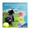 Boomi Ball - Tough Dog Ball