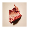 Carnilove Cat - Lamb & Wild Boar - Sterilised - Active