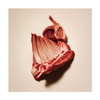 Carnilove - Lamb & Wild Boar - Adult - Active