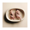 Carnilove Soft Treat - Quail & Oregano - New