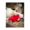 Christmas Dog Plush Toy - Steve Santa