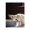 Christmas Cat Scratcher - Festive Cardboard Scratcher