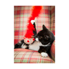 Christmas Cat Teaser Toy - Roxy Reindeer