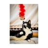 Christmas Cat Teaser Toy - Roxy Reindeer