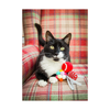 Christmas Cat Toy - Festive Ball Gift Box