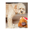 Christmas Dog Plush Toy - Clifford Cow
