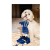 Christmas Dog Plush Toy - Nermal Nutcracker
