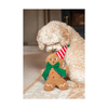 Christmas Dog Rope Toy - George Gingerbread Man