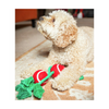 Christmas Dog Rope Toy - Holly Jolly
