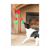 Christmas Dog Rope Toy - Holly Jolly