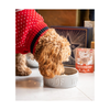 Christmas Dog Treat - Christmas Dinner Topper
