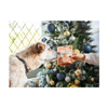 Christmas Dog Treat - Turkey Wrapped Carrot Twist