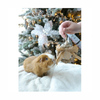 Christmas Small Pets - Heart Wreath
