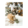 Christmas Small Pets - Veggie Burst Snowman & Teddy Duo